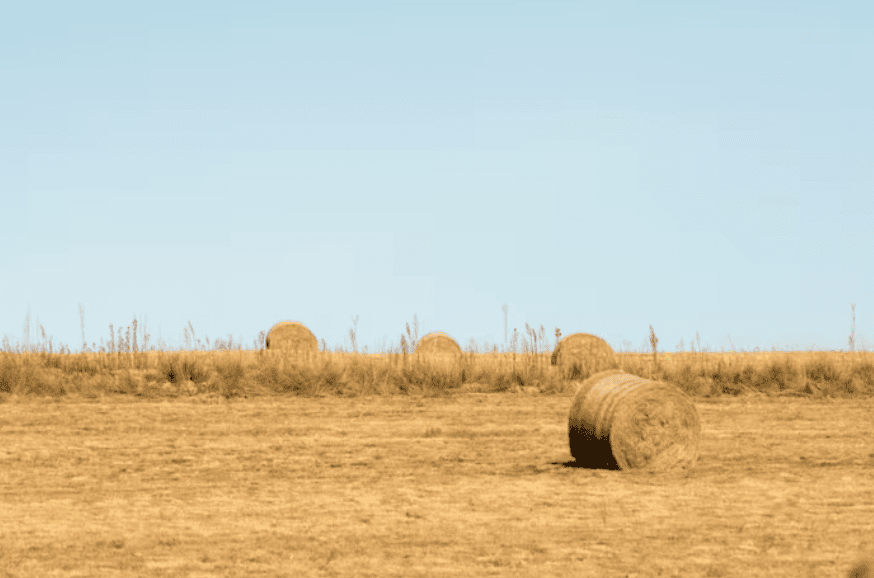 No clarity around drought support delays