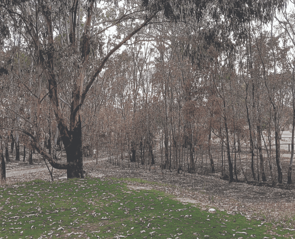 Alexandra Golf Club up early to beat high temperatures