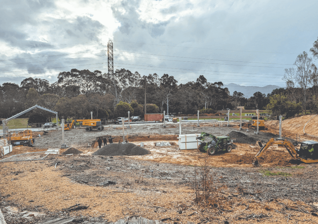 VFA building a bright future for native Macquarie perch