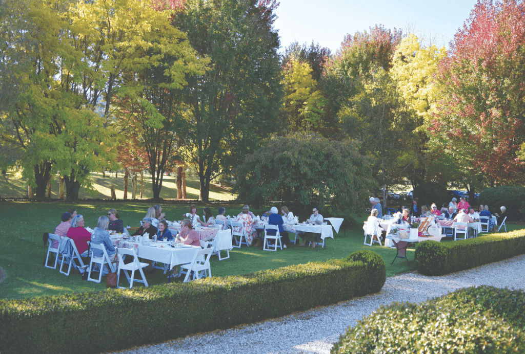 The high tea was held among the deciduous trees at Morning Mist.