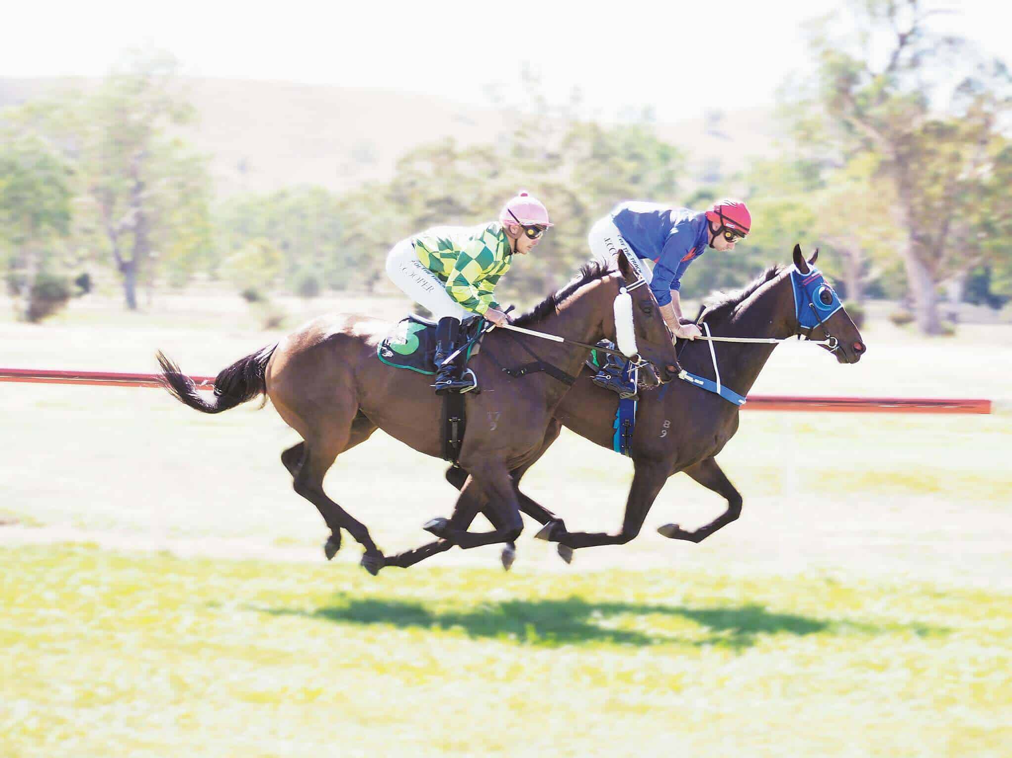 The first race of Alexandra Cup was full of action. The winner was The Oyster.