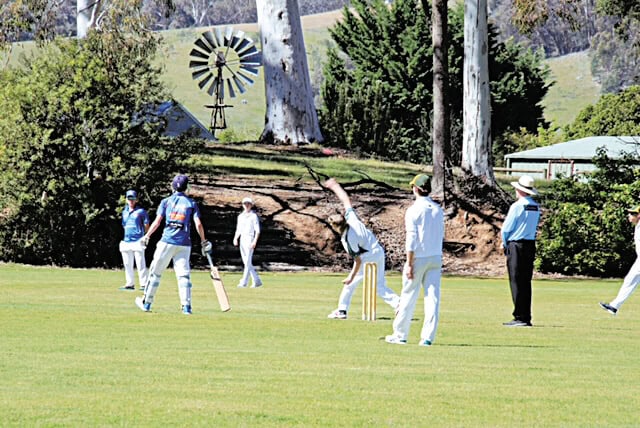 Merton cricket report