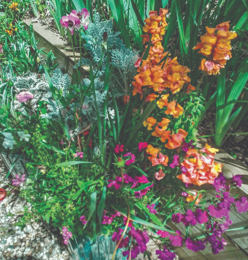 Update on the planter boxes