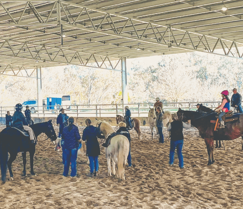 Alexandra Pony Club saddles up for team penning fun