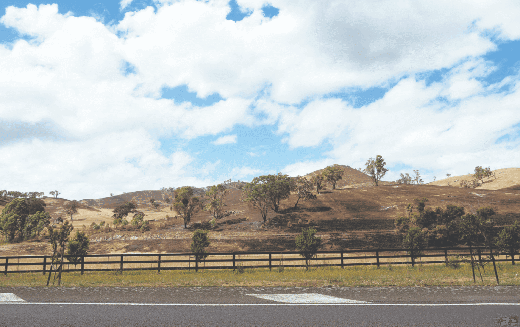 Ruffy: A community decimated but surviving