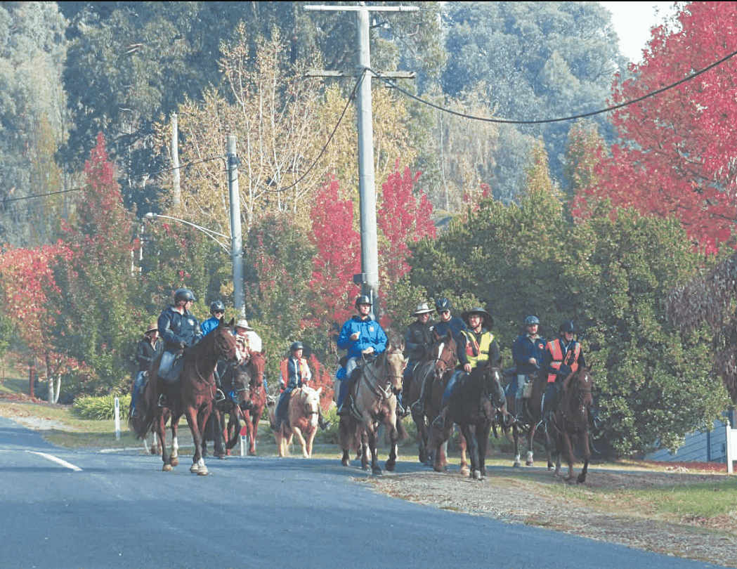 Marysville Saddle Tramps hosts a successful four day event