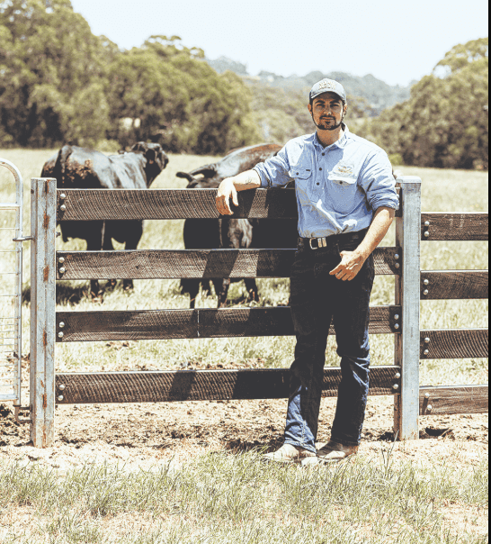 Wire-Lok the new fencing solution