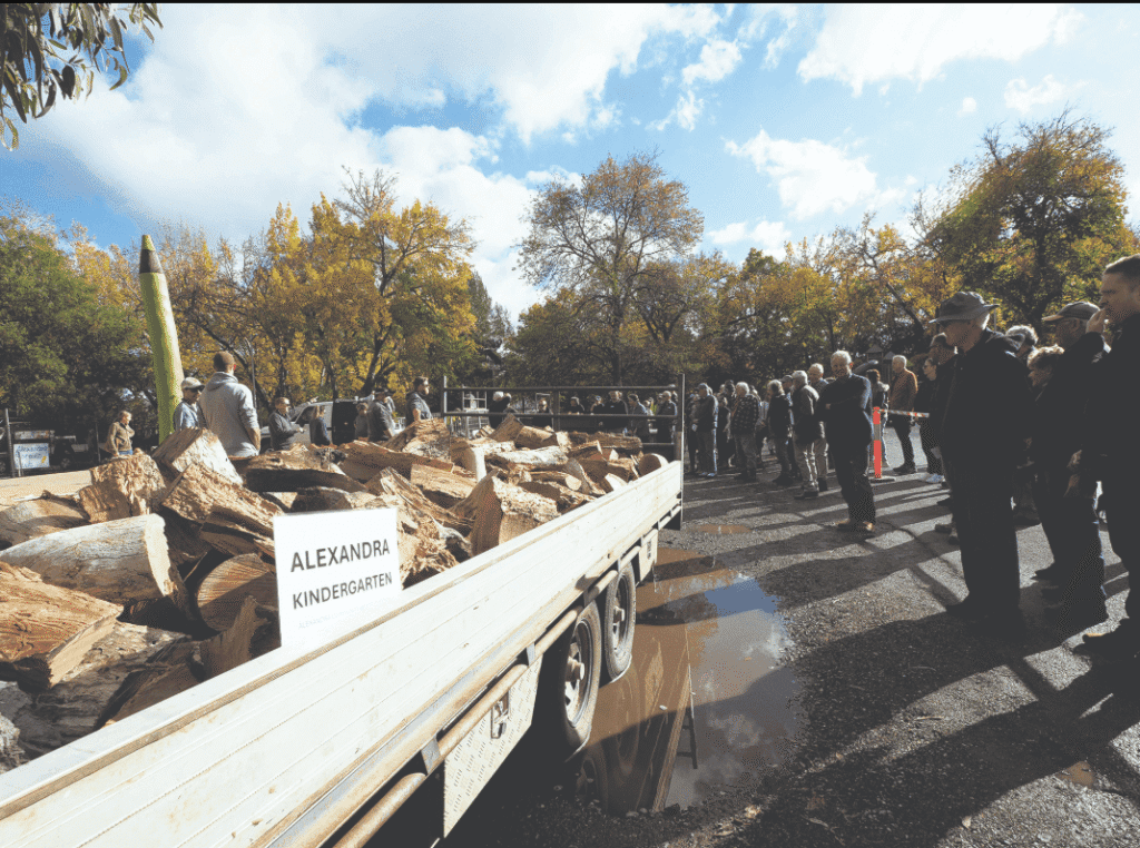 Stellar wood auction for the community