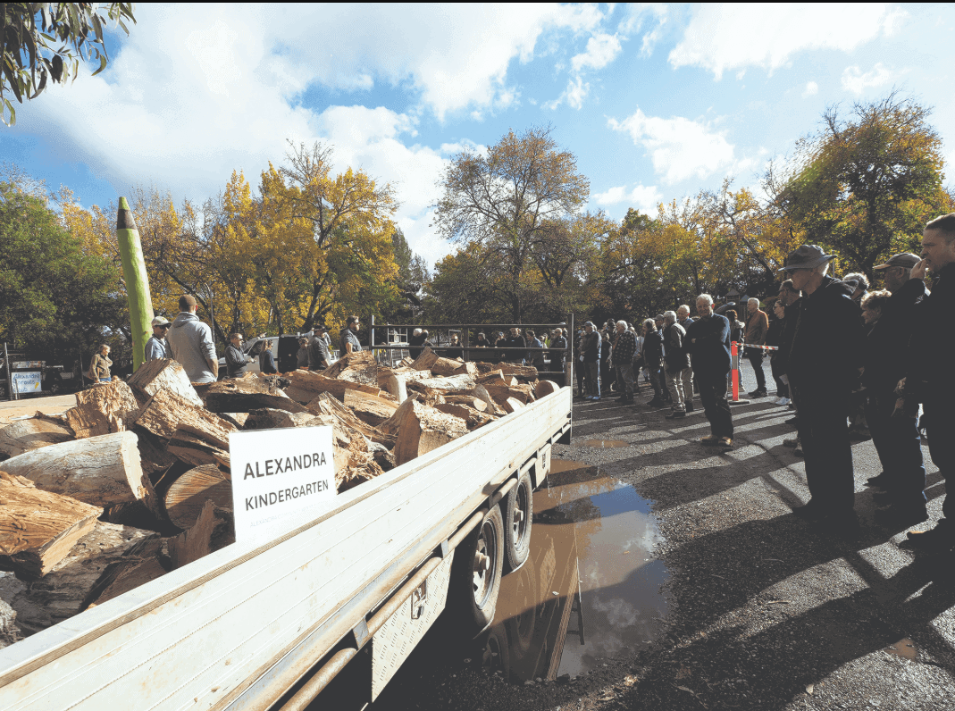 Stellar wood auction for the community