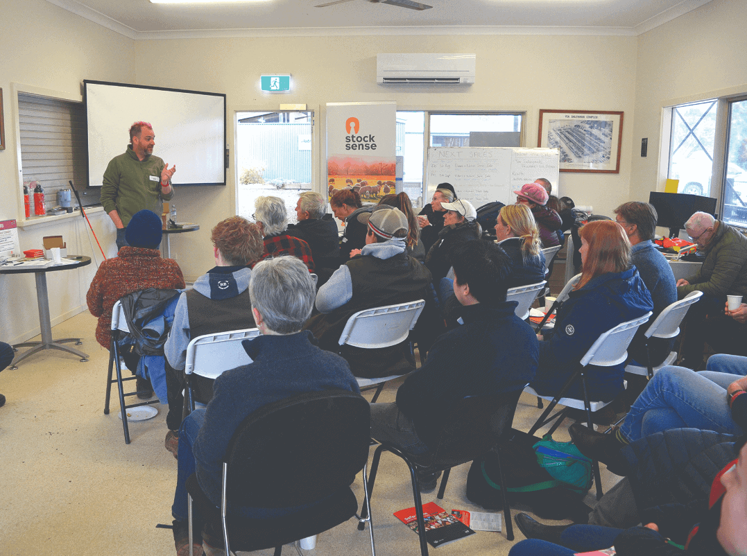 Livestock handling workshop at Yea Saleyards